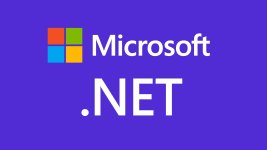 1605027417_microsoft_net.jpg